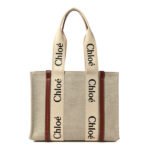Buy White and Brown Chloe bag