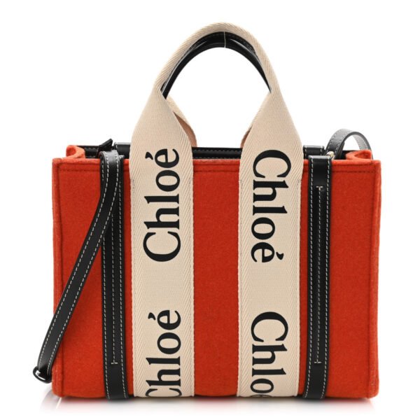 Buy Orange Chloe Bag