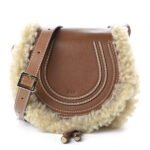 Buy Shinny Crossbody Bag